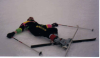 Skiing